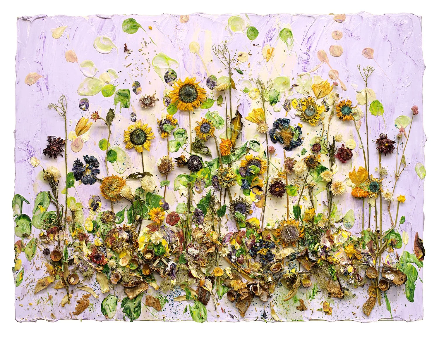 Susan Swartz Studios